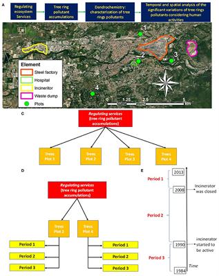 Dendrochemistry: Ecosystem Services Perspectives for Urban Biomonitoring